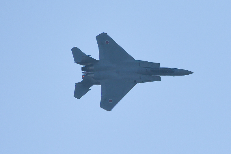image0181
