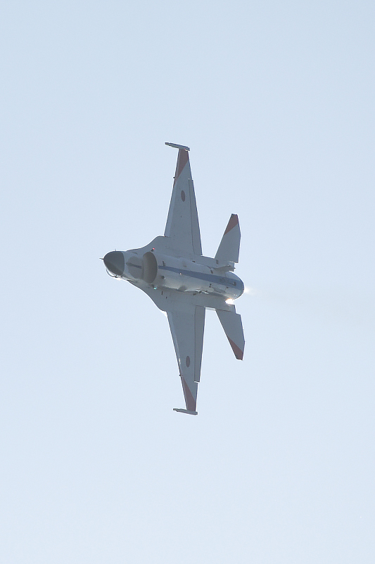 image0313