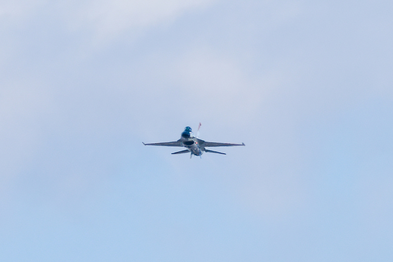 image0338