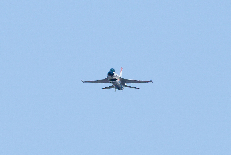 image0339