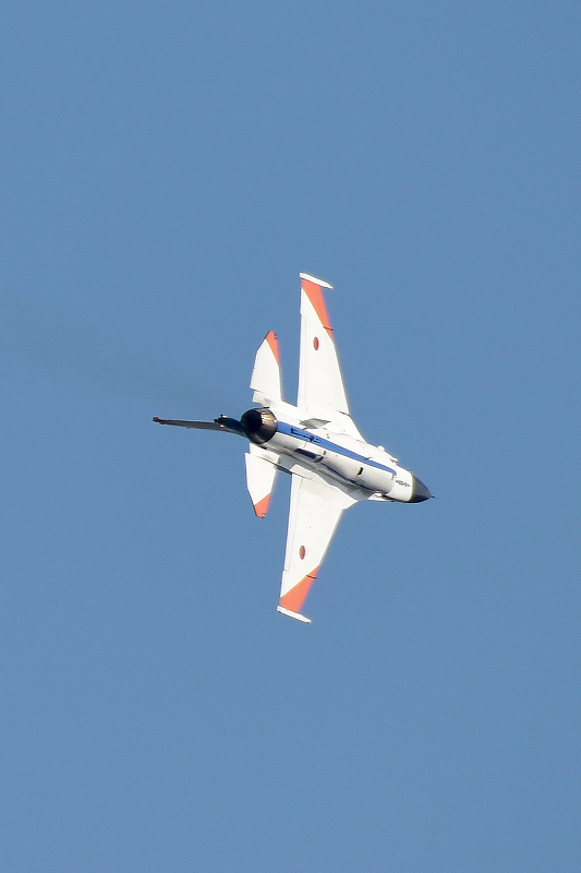 image0394