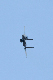 image0154