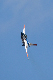 image0244
