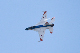 image0261