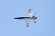 image0263