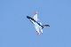 image0272