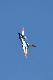 image0274