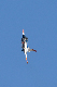 image0275