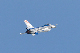 image0293