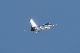image0294