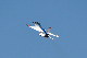 image0326