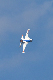 image0330