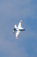 image0331