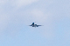 image0338