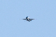 image0339