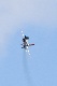 image0342