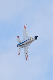 image0345
