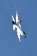 image0383