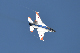 image0386