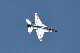 image0387