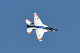 image0388
