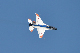 image0389