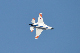 image0392