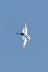 image0395