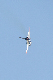 image0396