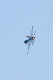 image0398