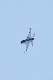 image0399