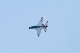 image0401