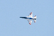 image0407