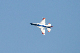 image0409
