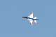 image0410