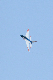 image0414