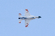 image0418