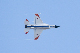 image0419