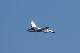 image0425
