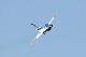 image0485