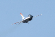 image0487