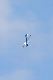 image0509