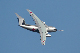 image0558