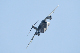 image0579