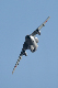 image0581