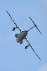 image0597