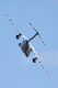 image0599