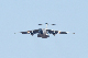 image0616