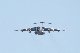 image0617