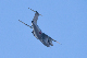 image0735
